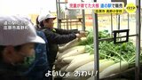 「いっぱい売れました」こんなに太くて1本100円　小学校で育てた大根　子どもたちが「道の駅」で販売　大人気で完売　広島・庄原市　　|　RCC NEWS | 広島ニュース | RCC中国放送