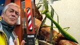 【 むし 】寺島進さん カマキリを投稿「また家族が増えちまった!」 “自分より大きい獲物を食べている” 様子に興味津々|TBS NEWS DIG