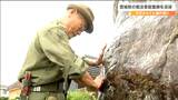 「戦没者のことを忘れない」ガダルカナル島の戦いでの犠牲者追悼する慰霊碑を清掃 日本軍約2万2000人が戦死や餓死 仙台|TBS NEWS DIG