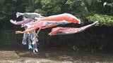 5月4日は「みどりの日」 緑の季節を楽しむ 「みどりまつり」開催=静岡・裾野市|TBS NEWS DIG