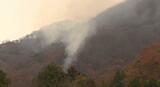 広島・徳島の防災ヘリも出動…愛媛・大三島の山火事延焼続く【愛媛】 | 愛媛のニュース - Nスタえひめ|あいテレビは6チャンネル