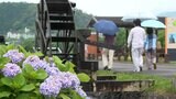 【速報】四国地方が梅雨入り 平年より3日遅く、去年より9日早い(高松地方気象台発表) | 高知のニュース・天気|KUTV NEWS | KUTVテレビ高知