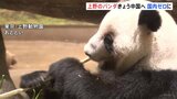 「会えなくなるのは寂しい」東京・上野動物園の双子パンダきょう中国へ向け出発　54年ぶりのパンダ不在に　園には別れを惜しむ多くの人が|TBS NEWS DIG