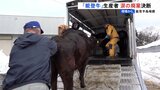 「地震さえなければ」“能登牛”生産者が涙の廃業を決断　能登半島地震|TBS NEWS DIG
