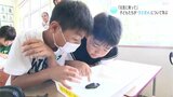 「甲羅がゴツゴツ！」小学校でウミガメについて学ぶ学習会|TBS NEWS DIG
