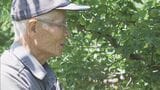 限界集落で6人の住民が維持…梅の収穫が最盛期 三重・熊野市小船地区 | 名古屋・愛知・岐阜・三重のニュース【CBC news】 | CBC web
