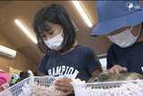 「動物を知って大切に飼育するのが大切」子ども観光大使を目指す小中学生が獣医師の仕事学ぶ=浜松 | 静岡のニュース | SBSNEWS | 静岡放送