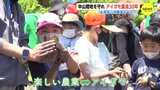 「生産者と消費者をつなぐ」　中山間地を守れ　アイガモ農法30年　|　RCC NEWS | 広島ニュース | RCC中国放送