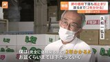 卵の価格2週連続下落…も元通りまで「2年かかる」|TBS NEWS DIG