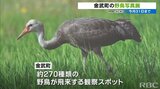 沖縄有数の野鳥観察スポットで写真展 今月16日まで愛鳥週間 | 沖縄のニュース|RBC 琉球放送