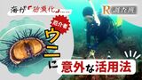 海が「砂漠化」?! 原因はウニ…厄介者を活用する発想の転換とは 【RKBの調査報道】R調査班|TBS NEWS DIG
