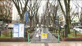 歩道を広げると共に自転車専用レーンを設置 ケヤキ並木の「定禅寺通」再整備工事が本格化 仙台 | 宮城のニュース│tbc NEWS│tbc東北放送