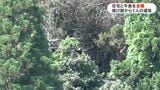 鹿屋市で建物が全焼　焼け跡から1人の遺体　鹿児島|TBS NEWS DIG