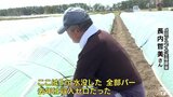 「去年は収入ゼロ」大雨被害のメロン・スイカ農家　再起かけ苗の植え付け開始も天候頼みの側面大きく|TBS NEWS DIG