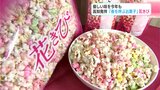 「大事にしていきたい」高知発祥“春を呼ぶお菓子”花きび 優しい味を今年も | 高知のニュース・天気|KUTV NEWS | KUTVテレビ高知
