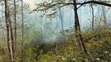 大江町の山林火災はけさ鎮火　少なくとも3ヘクタールが焼ける（山形）|TBS NEWS DIG