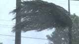 【台風6号接近へ】最大瞬間風速50メートルの台風とは 過去の台風に学ぶ「早めの備え」 停電中の熱中症対策も | 沖縄のニュース|RBC 琉球放送