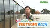 29日 宮城の30秒天気 tbc気象台|TBS NEWS DIG