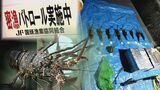 「もう根こそぎ」後を絶たないイセエビの密漁 海の資源守る海人たちのパトロールに密着 | 沖縄のニュース|RBC 琉球放送