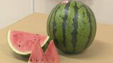 春の訪れ…だけど「夏の味覚」も準備万端　甘く歯ごたえあるスイカの出荷が本格化　熊本　　　|　熊本のニュース｜RKK NEWS｜RKK熊本放送