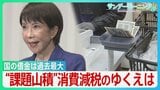自民圧勝も消費減税は課題山積... “最大の焦点”約10兆円の財源はどこに？ 国の借金が過去最大のなか「国論二分」政策の行方は【サンデーモーニング】|TBS NEWS DIG