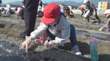 6月下旬の収穫が楽しみ 中央市の児童が特産のトウモロコシの種まき体験 | 山梨のニュース | UTYテレビ山梨