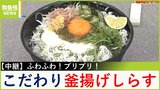 【中継】こだわり「釜揚げしらす」はふわふわでうま味が凝縮!漁獲量トップクラス・淡路島のしらすでつくる絶品丼とは? 兵庫・洲本市【川地洋平の最旬!丼マン】|TBS NEWS DIG