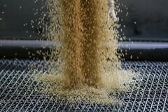 政府の備蓄米、落札数量は14万1796トン－江藤農水相| TBS CROSS DIG with Bloomberg