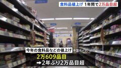 今年の値上げ　2年ぶり2万品目超　来年はラッシュ一服も円安進行で値上げ広がるおそれも| TBS CROSS DIG with Bloomberg