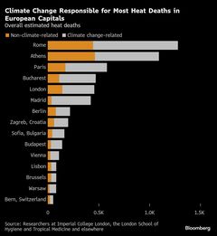猛暑の欧州都市部で1万6500人死亡、気候変動で犠牲増えた可能性-調査| TBS CROSS DIG with Bloomberg