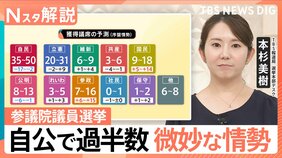 参議院選挙、序盤の情勢分析&nbsp;「自公で過半数」微妙か　約4割「まだ投票先決めてない」でどうなる？【Nスタ解説】【選挙の日、そのまえに】|TBS NEWS DIG