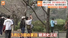 「桜が急に咲いてびっくり」季節外れの暑さで桜の開花進む 全国4地点で“異例の真夏日” 東京都心も観測史上初「3月3回目の夏日」|TBS NEWS DIG