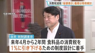 食料品の消費税減税に向け自民党が制度設計の議論スタート　「総額表示」義務づけへの対応など意見交換| TBS CROSS DIG with Bloomberg