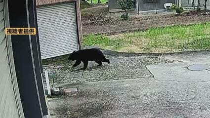 田んぼから顔を出したクマ 防犯カメラが捉えたその姿 15年前にも同じ家