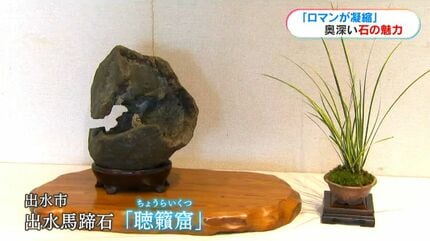 ロマンが詰まっている」石の知られざる魅力「鑑賞石展」鹿児島市で27日