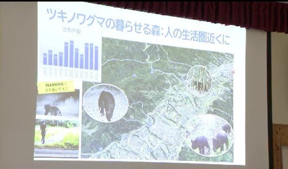 「人由来の食べ物を食べさせない…」専門家が語るクマ対策…夏の観光シーズンにむけて「クマが潜める場所を減らす…」出没情報チェックして、クマと出会わないための対策を|TBS NEWS DIG