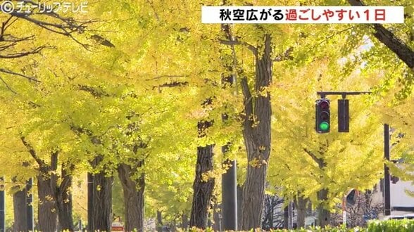最低気温は富山で9.0℃…この時期らしい冷え込みに 日中は富山・高岡伏木ともに19℃、10月下旬並みに | 富山のニュース|天気・防災|チューリップテレビ