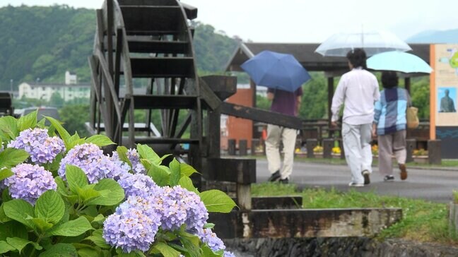 【速報】四国地方が梅雨入り　平年より3日遅く、去年より9日早い（高松地方気象台発表）|TBS NEWS DIG
