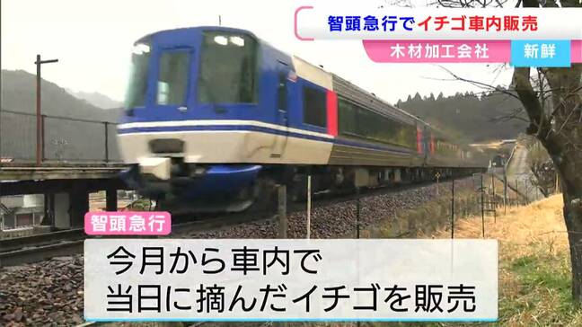 智頭急行で「朝採れいちご」の車内販売開始 西粟倉村の木材加工会社がなぜ「イチゴ」を生産・販売?!【岡山・西粟倉村】|TBS NEWS DIG