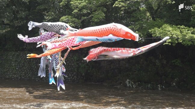 5月4日は「みどりの日」 緑の季節を楽しむ 「みどりまつり」開催=静岡・裾野市|TBS NEWS DIG