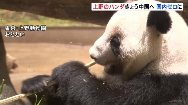「会えなくなるのは寂しい」東京・上野動物園の双子パンダきょう中国へ向け出発 54年ぶりのパンダ不在に 園には別れを惜しむ多くの人が|TBS NEWS DIG