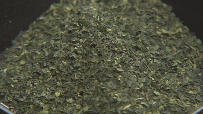 抹茶1缶3888円も？抹茶ブームで「購入制限」お茶専門店の藤岡園に聞く価格高騰の現状　富山|TBS NEWS DIG