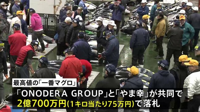 一番マグロは大間産2億700万円　過去2番目の高値　豊洲市場で初競り|TBS NEWS DIG
