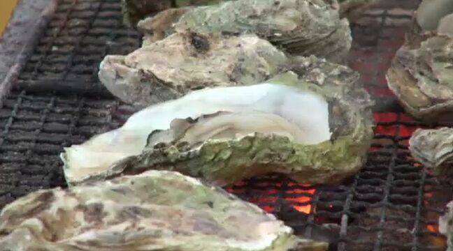 能登半島地震で養殖業者は激減… 日本海のカキを堪能する“雪中ジャンボかきまつり”は今年も中止に 「まつりの対応がもう厳しい」と話す生産者も 必要な10万個のカキの確保はもう無理⁉|TBS NEWS DIG