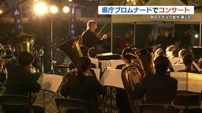 色付くイチョウ並木とともに　熊本県庁プロムナードで「ライトアップコンサート」|TBS NEWS DIG
