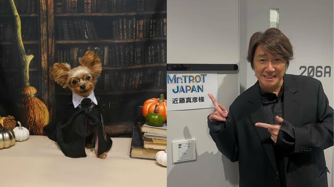 【 近藤真彦 】愛犬が「ハリーポッタールル」コスプレに「親バカごめん(笑)」 フォロワー共感「そんなマッチが…かわいい」|TBS NEWS DIG