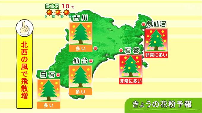 【12日宮城の天気】日差したっぷり　風やや冷たい　北西の風で沿岸部では「花粉」非常に多く飛ぶおそれ　tbc気象台　|　宮城のニュース│tbc NEWS│tbc東北放送
