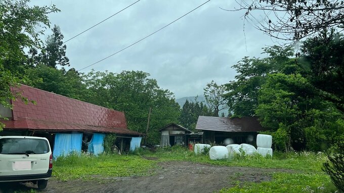 牛舎脇のわなに子グマ　近づいた男性が別のクマに襲われけが　岩手・遠野市　|　IBC NEWS | IBC岩手放送