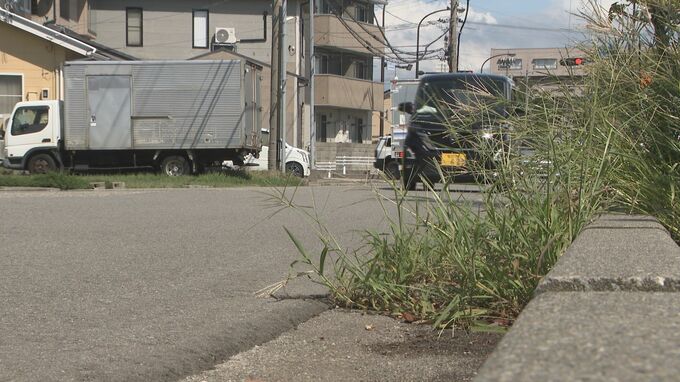 9月1日から生活道路の法定速度「60キロ→30キロ」に 警察「歩行者の致死率は時速30キロ超で急増」|TBS NEWS DIG