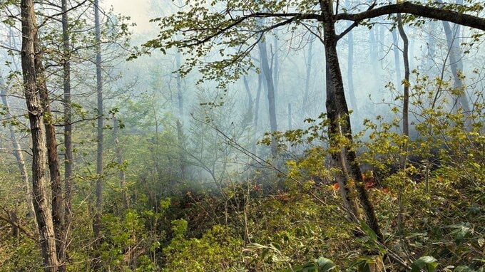【現場画像】大江町の山で火災　山林5000平方メートル燃える　消火活動続く（山形）　|　山形のニュース│TUYテレビユー山形